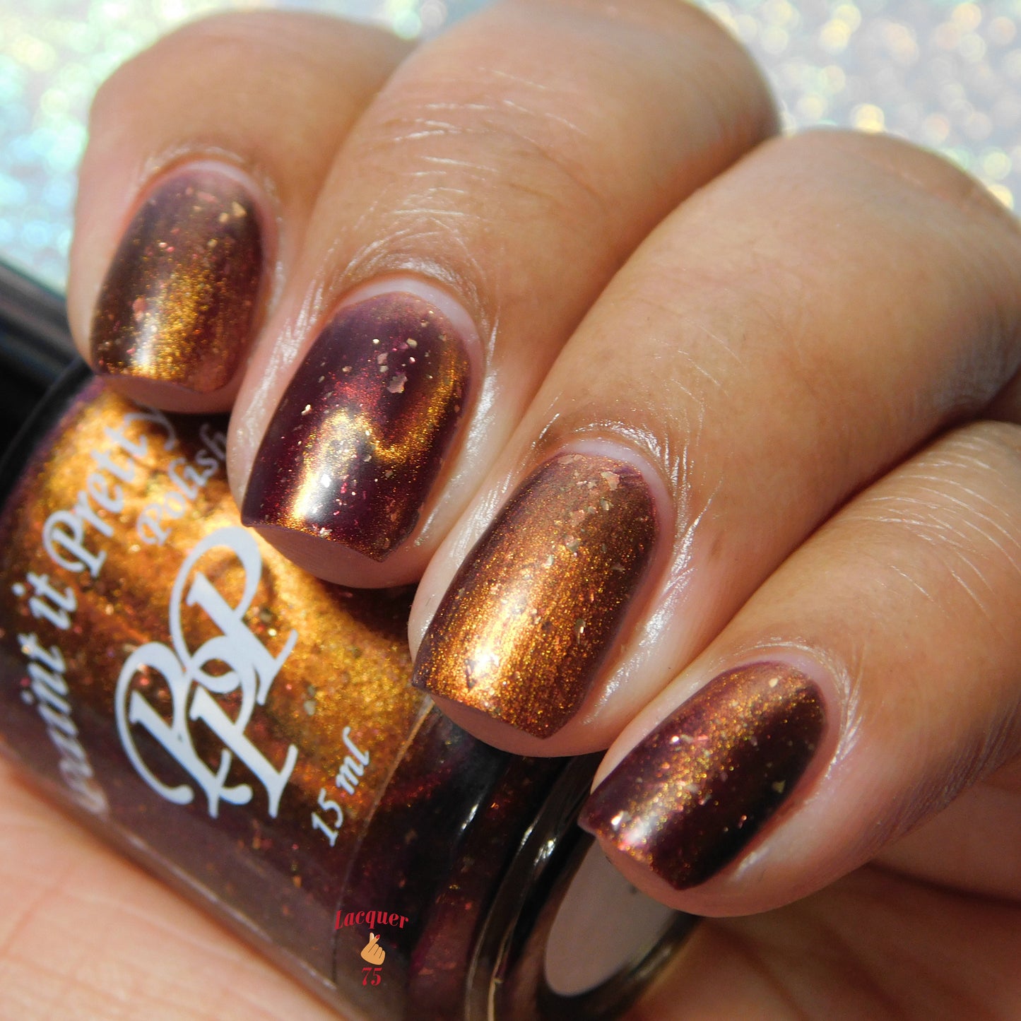 Fall Foliage