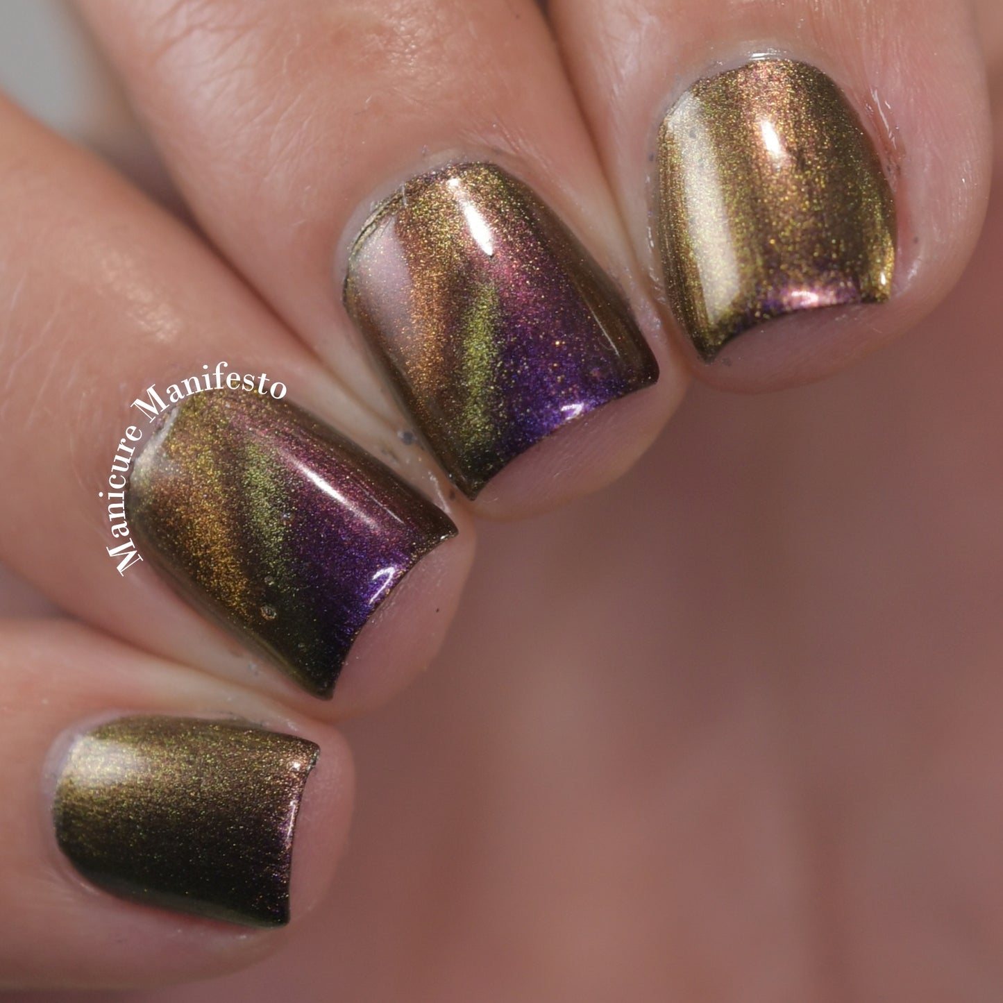 Stardust