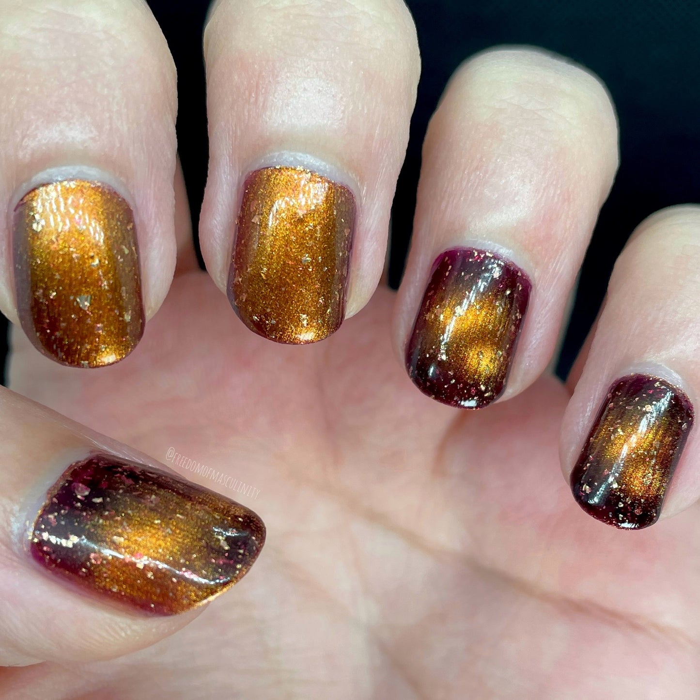 Fall Foliage