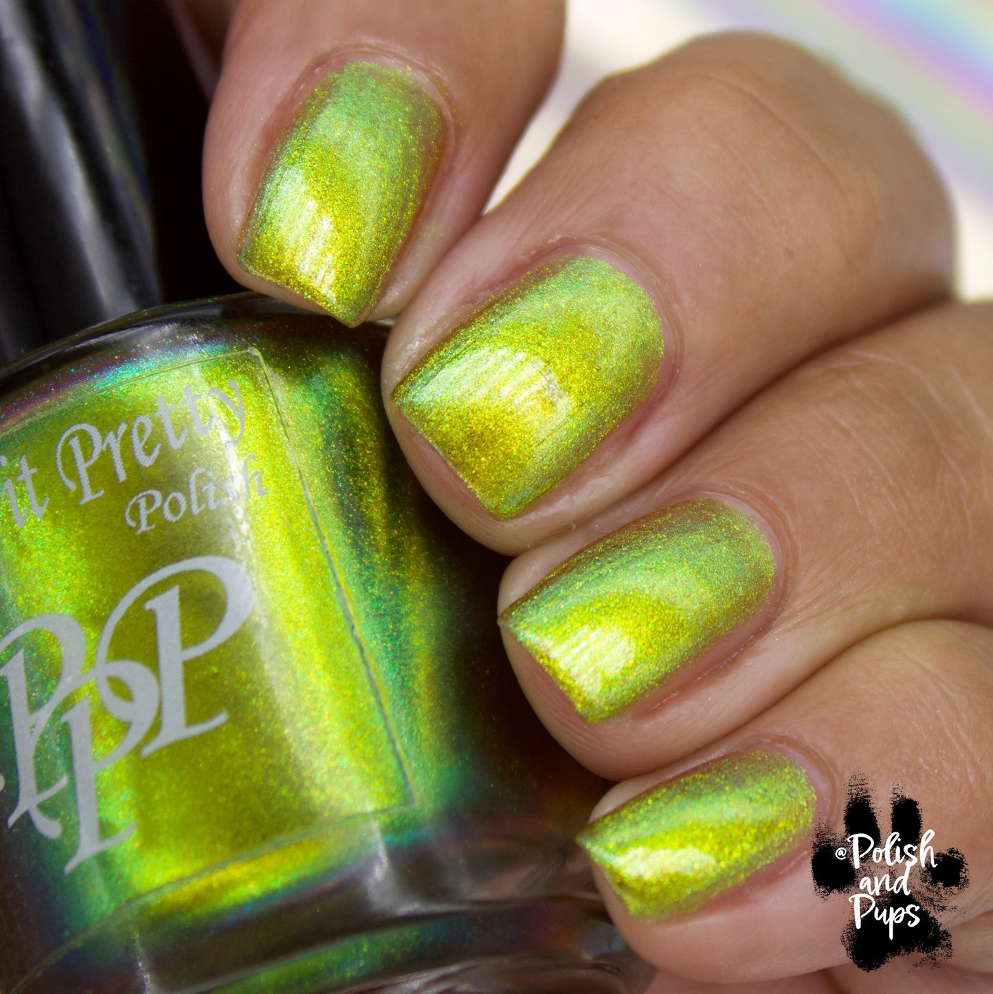 Highlighter Glow