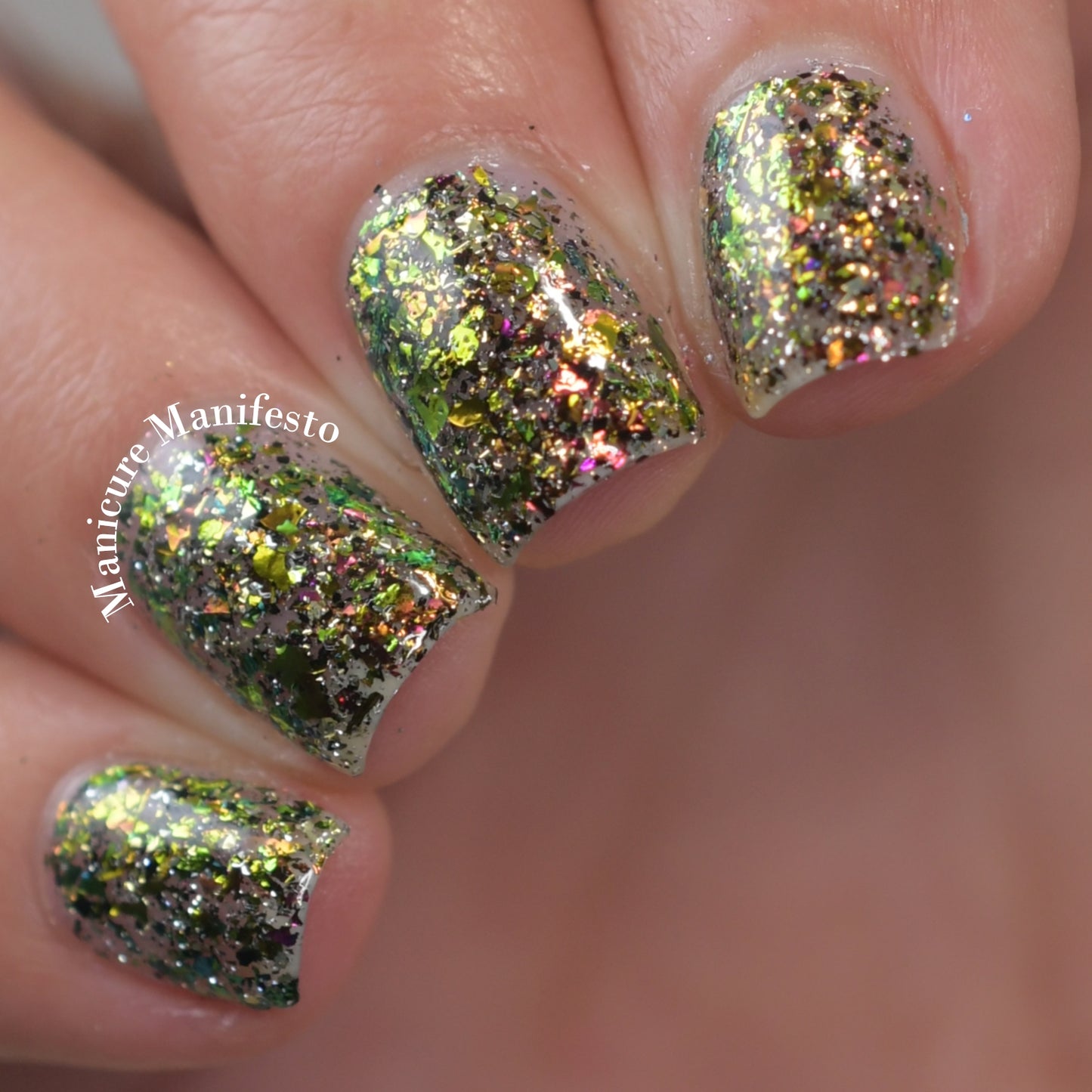 Official Cookie Tester