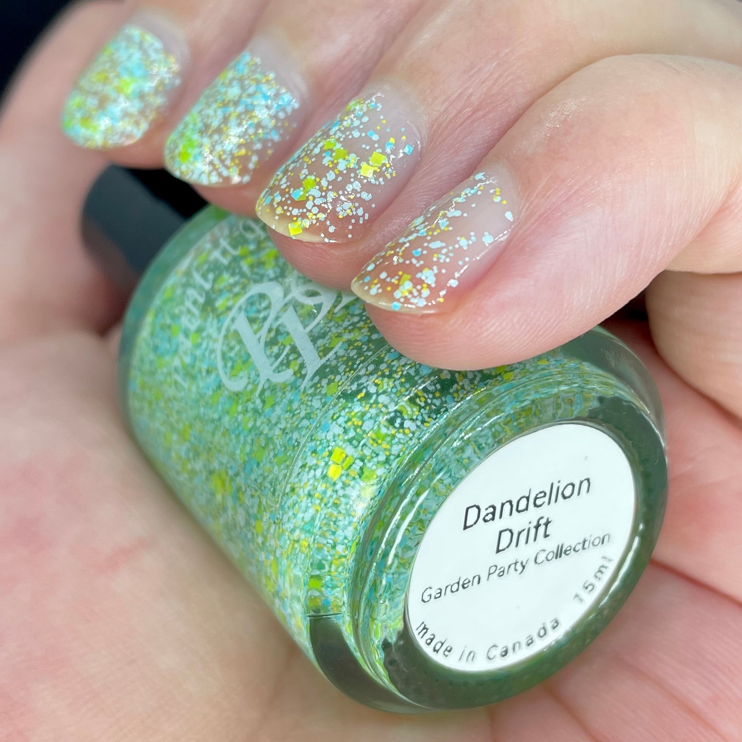 Dandelion Drift