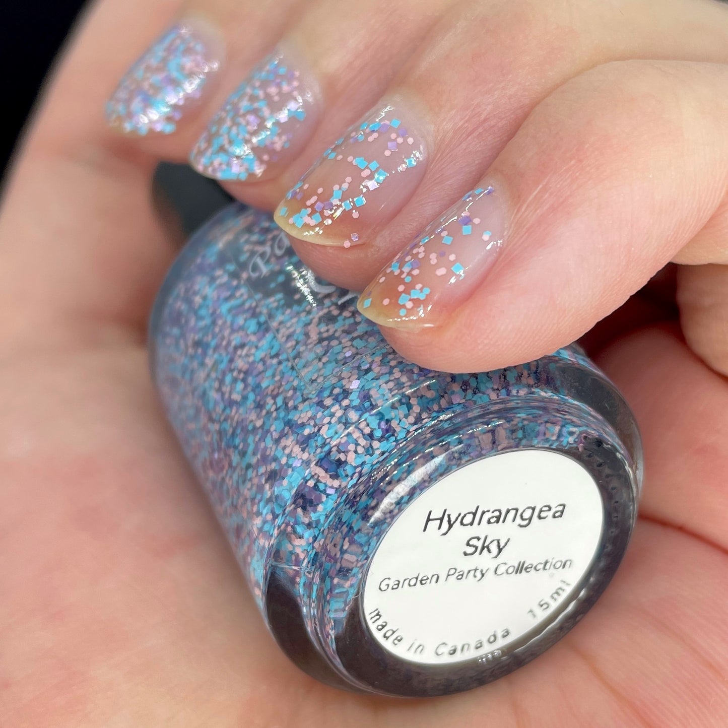 Hydrangea Sky