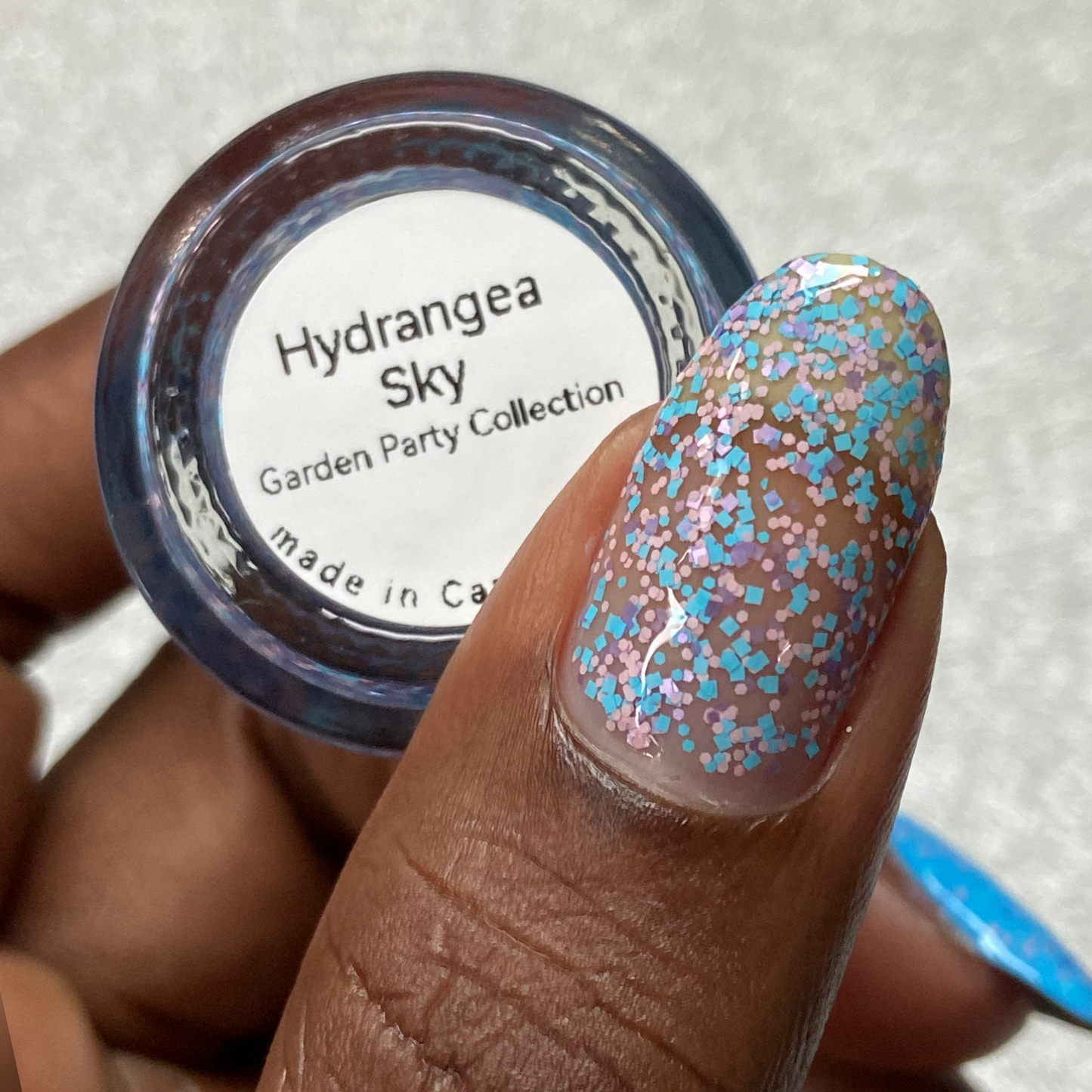 Hydrangea Sky