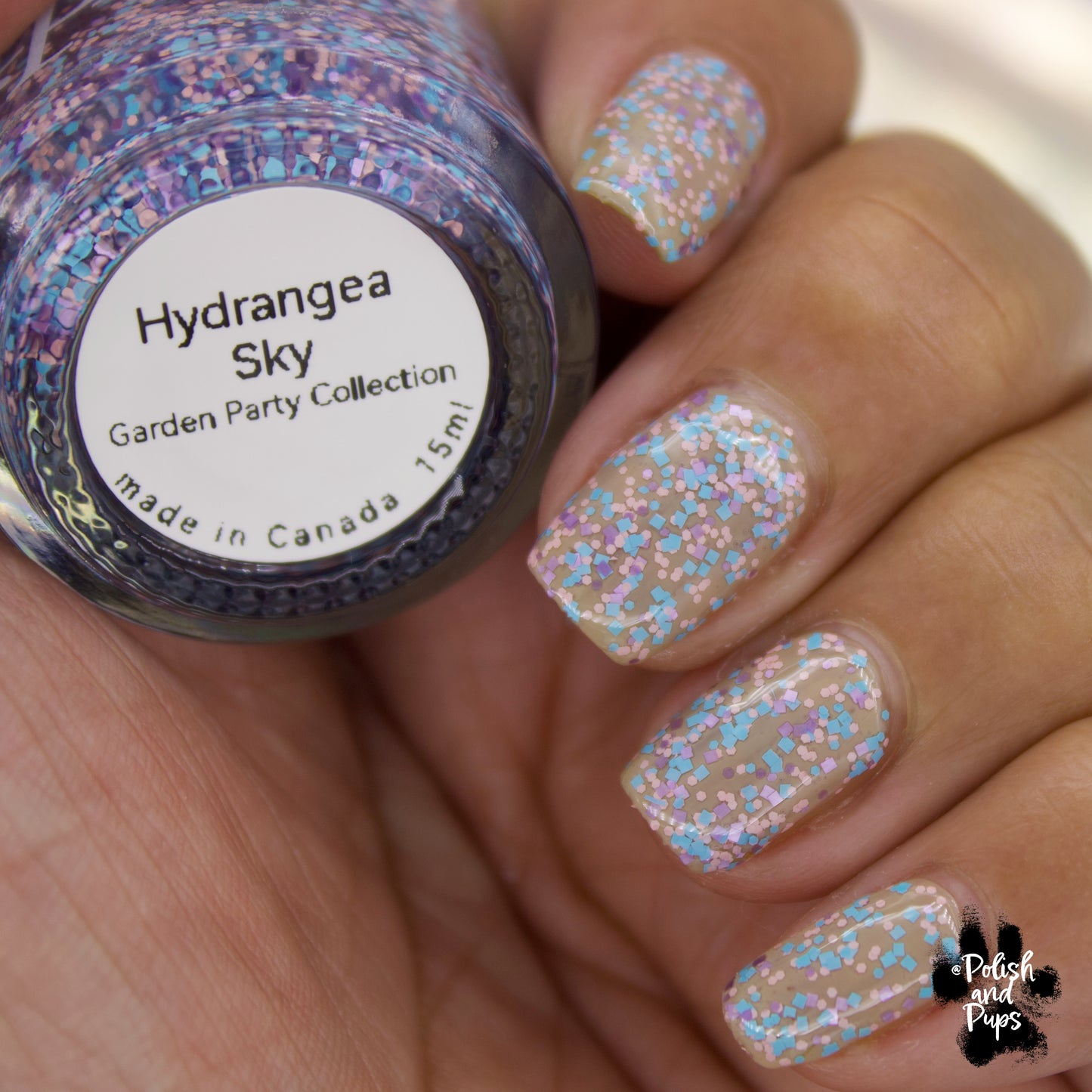 Hydrangea Sky