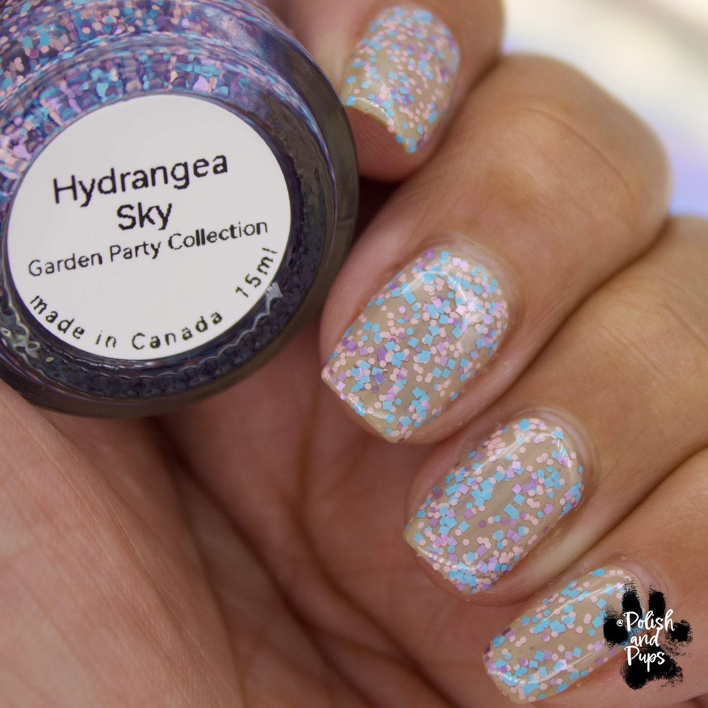 Hydrangea Sky