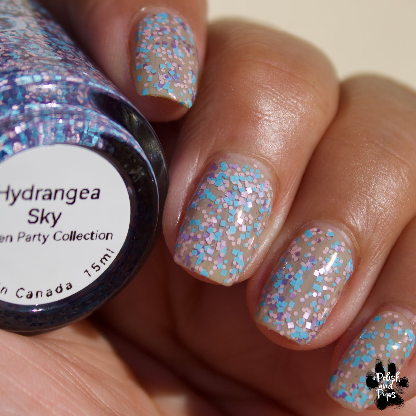 Hydrangea Sky