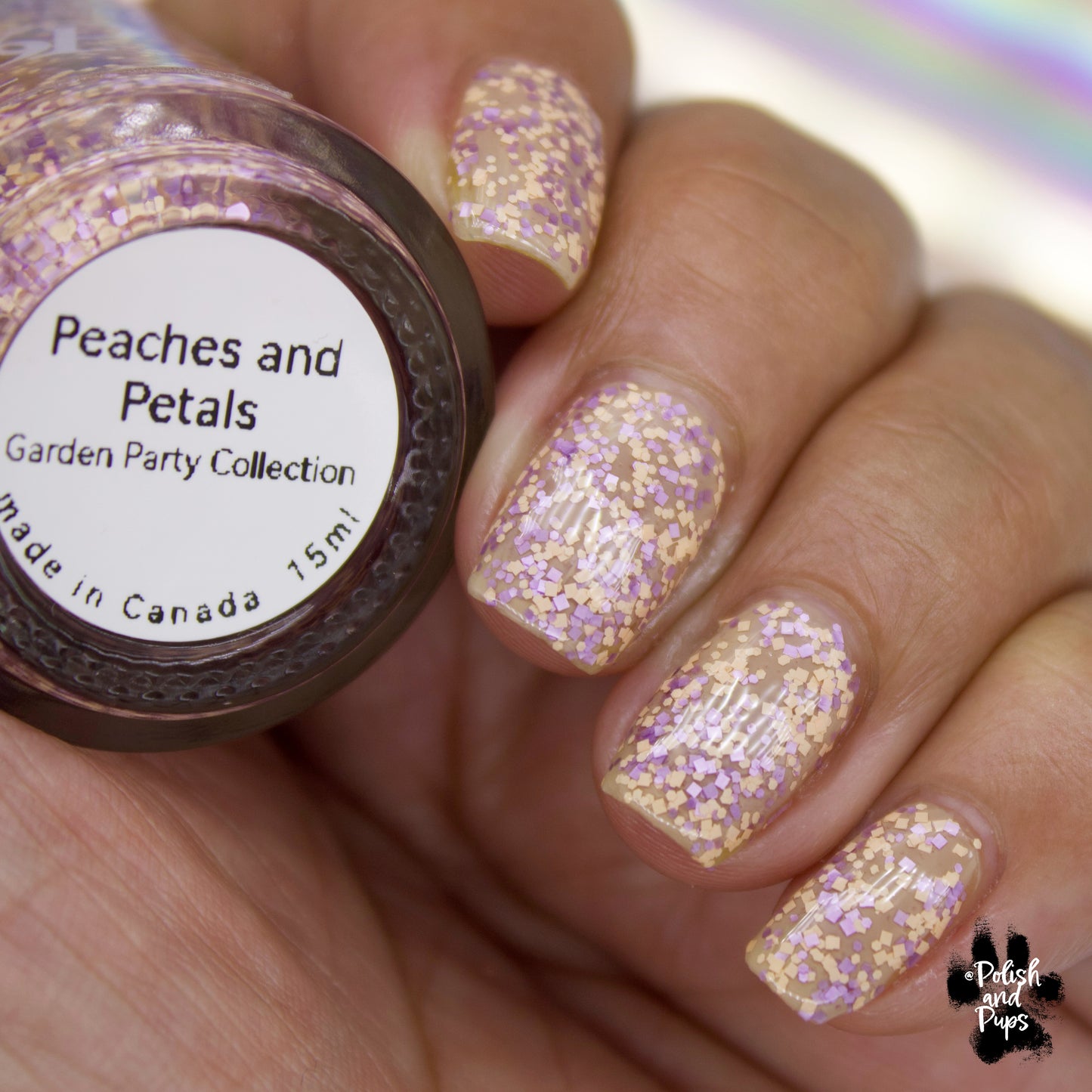 Peaches and Petals