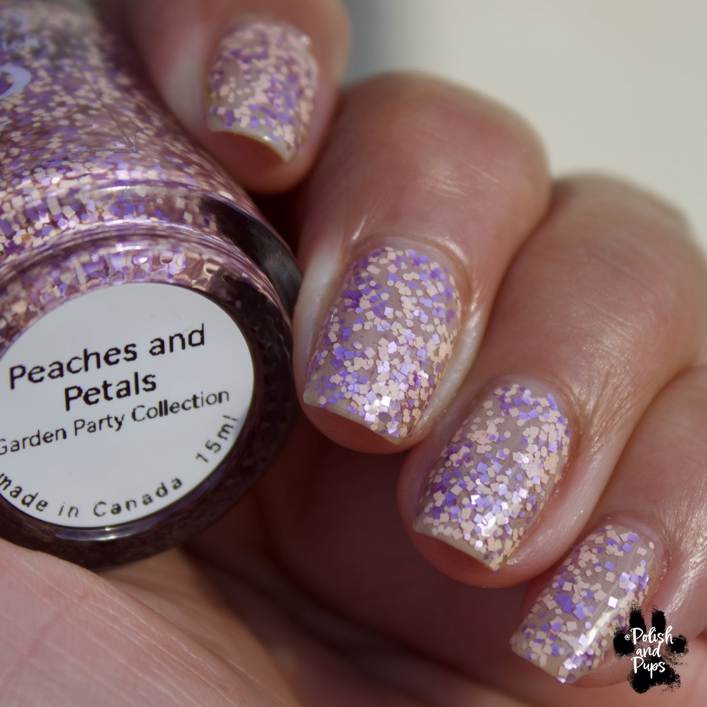Peaches and Petals