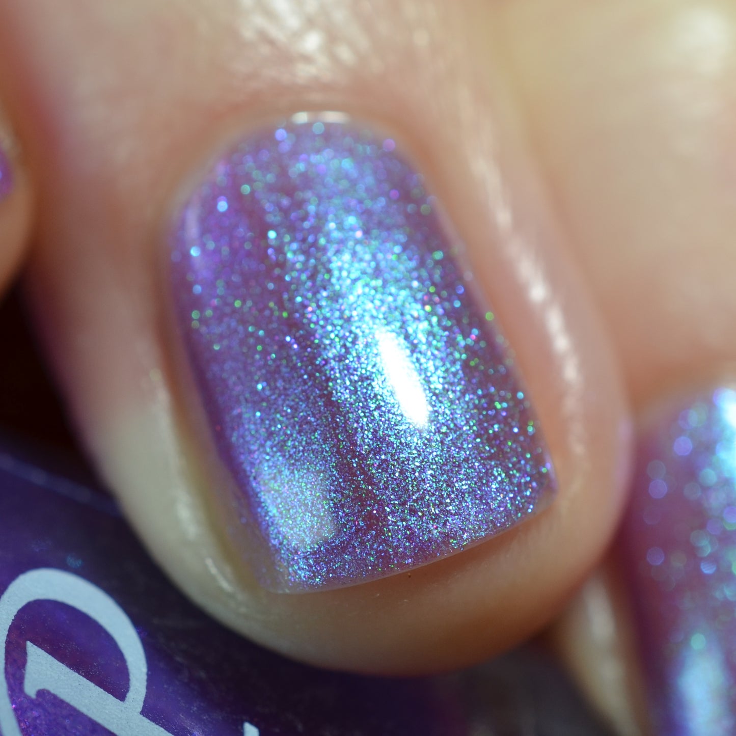 Where Flowers Bloom So Does Hope