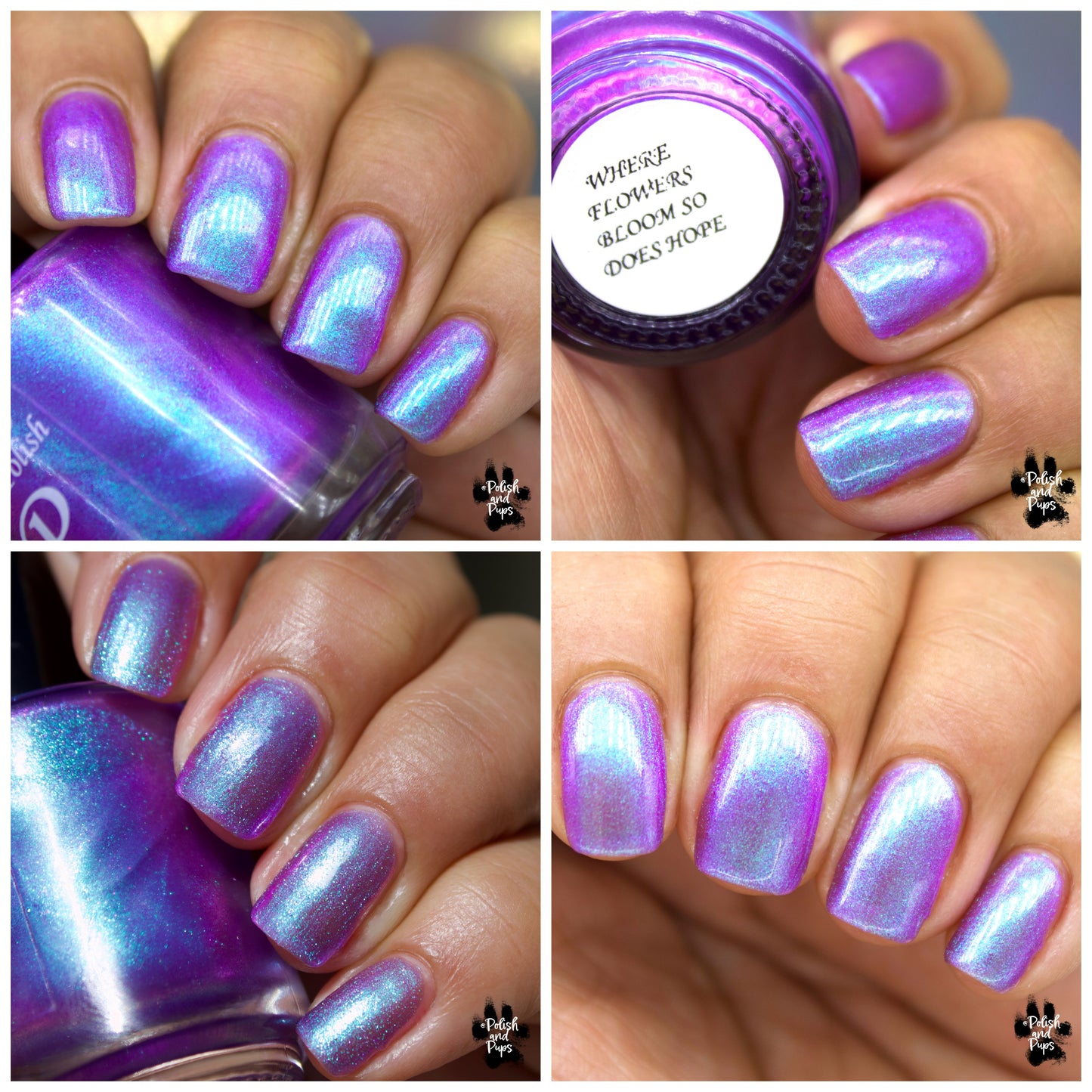 Where Flowers Bloom So Does Hope