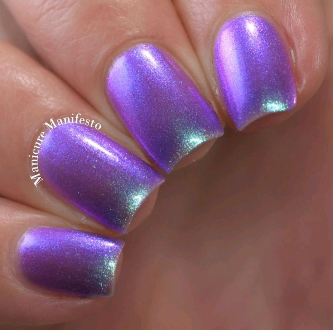 Where Flowers Bloom So Does Hope