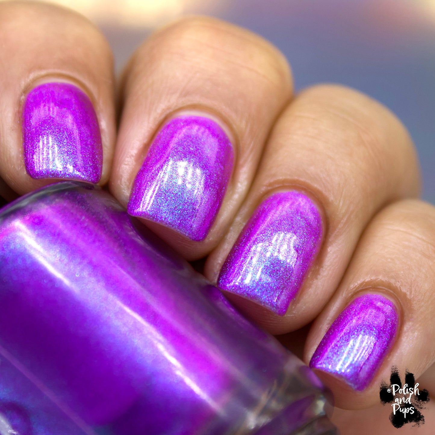 Blossom For Your Own Joy