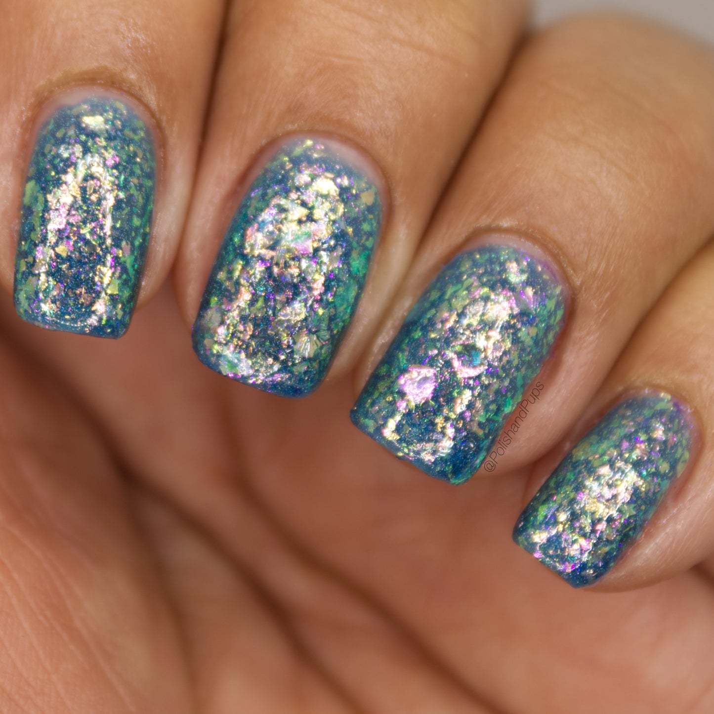 Cheese and Sprinkles