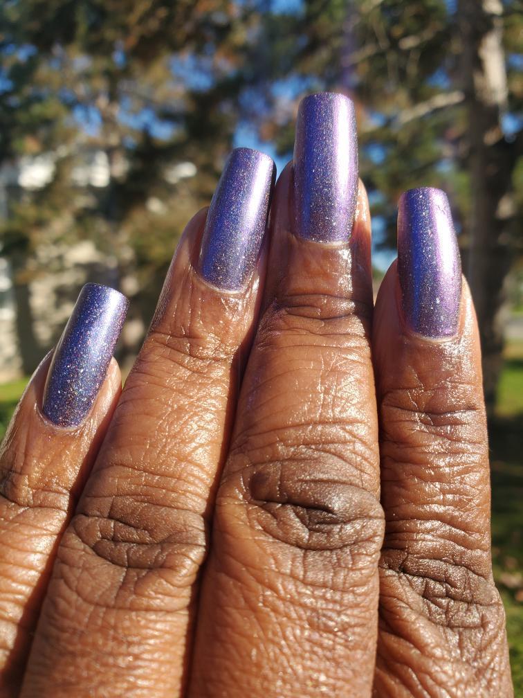 Fireflies Stuck Up In That Bluish Black Thing