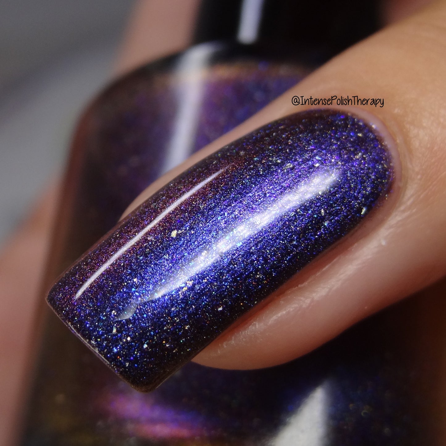 Fireflies Stuck Up In That Bluish Black Thing